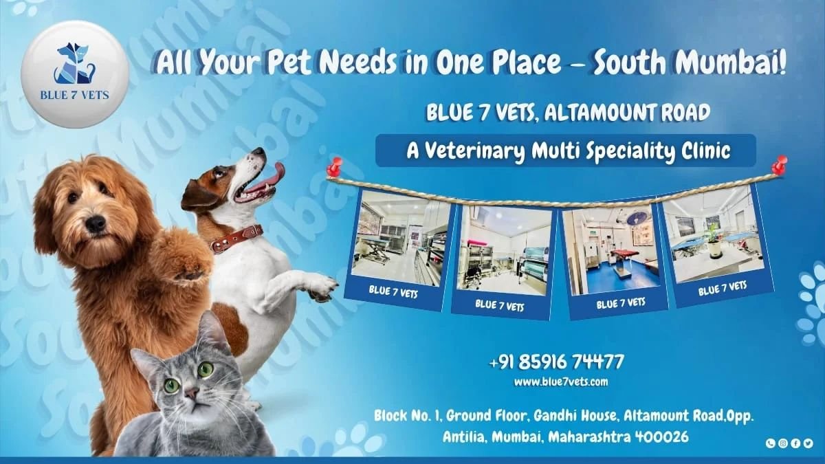 BLUE7VETS Clinic: Revolutionizing Veterinary Care in Mumbai with Over 15 Years of Expertise