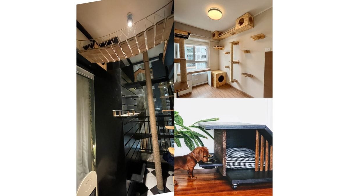 My Dog Slept Below My Bed or shares my bed”— That’s When I Realised Something Was Wrong